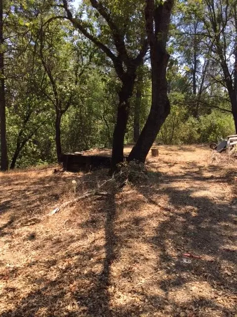 12264 Macs Rd, Redding, CA 96003 photo 23