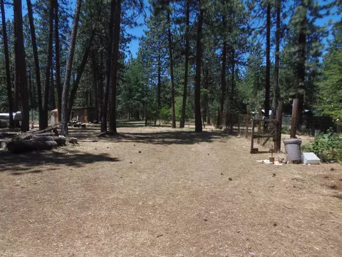 38052 Elderberry Ln, Burney, CA 96013 photo 5