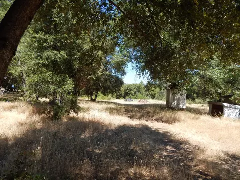 31820 Forward Rd, Manton, CA 96059 photo 94