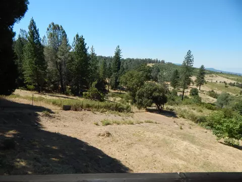 31820 Forward Rd, Manton, CA 96059 photo 63