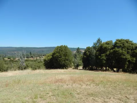 31820 Forward Rd, Manton, CA 96059 photo 87
