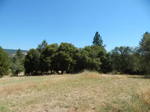 31820 Forward Rd, Manton, CA 96059 photo 88