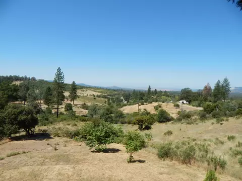 31820 Forward Rd, Manton, CA 96059 photo 58