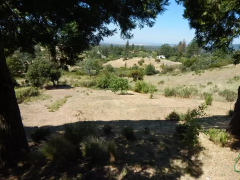 31820 Forward Rd, Manton, CA 96059 photo 64