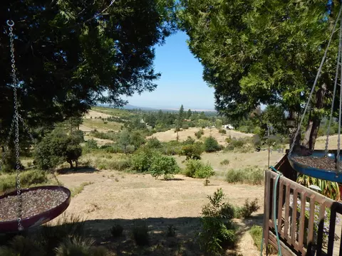 31820 Forward Rd, Manton, CA 96059 photo 51