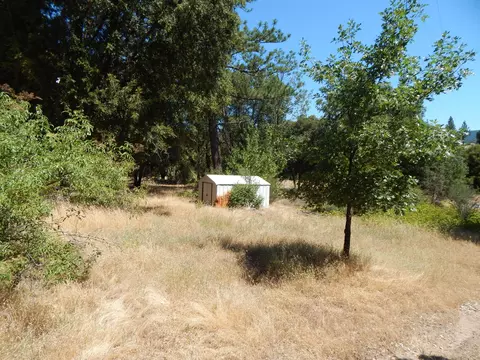 31820 Forward Rd, Manton, CA 96059 photo 91