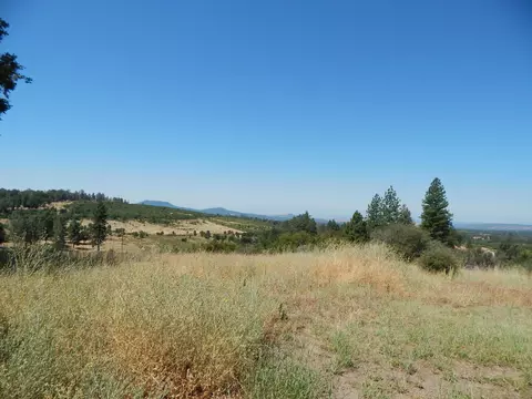 31820 Forward Rd, Manton, CA 96059 photo 83