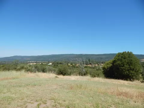 31820 Forward Rd, Manton, CA 96059 photo 86