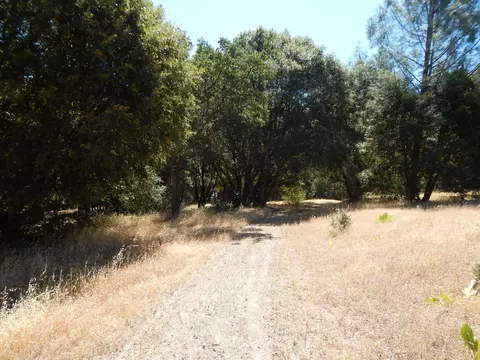 31820 Forward Rd, Manton, CA 96059 photo 90