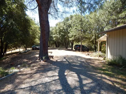 31820 Forward Rd, Manton, CA 96059 photo 66