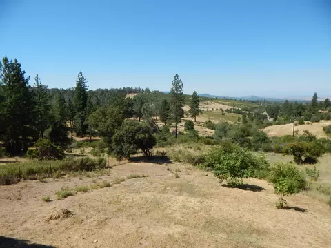 31820 Forward Rd, Manton, CA 96059 photo 57
