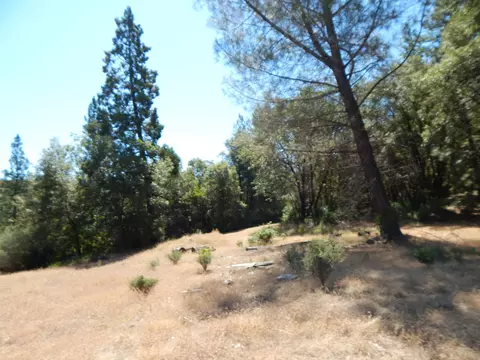 31820 Forward Rd, Manton, CA 96059 photo 93