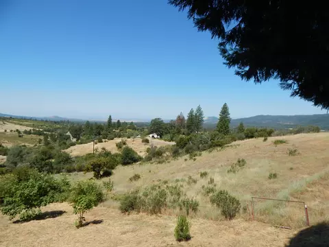 31820 Forward Rd, Manton, CA 96059 photo 59
