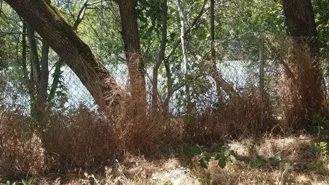 8342 Haiti Dr, Redding, CA 96002 photo 2