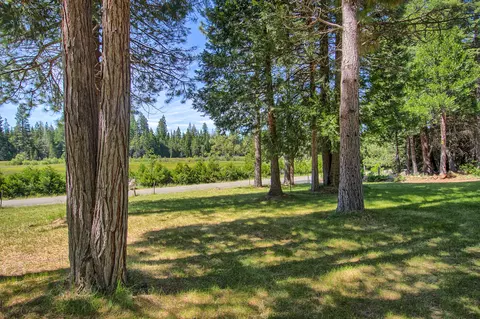 36348 Deer Flat Rd, Shingletown, CA 96088 photo 6