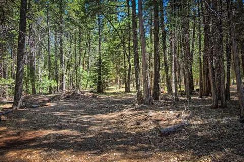 36348 Deer Flat Rd, Shingletown, CA 96088 photo 32