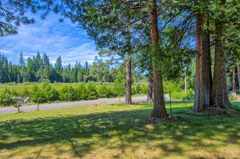 36348 Deer Flat Rd, Shingletown, CA 96088 photo 5