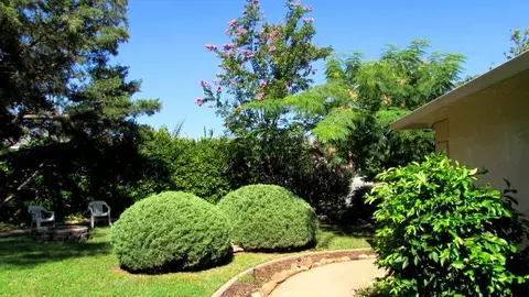 4475 Swallowtail Ct, Redding, CA 96003 photo 22