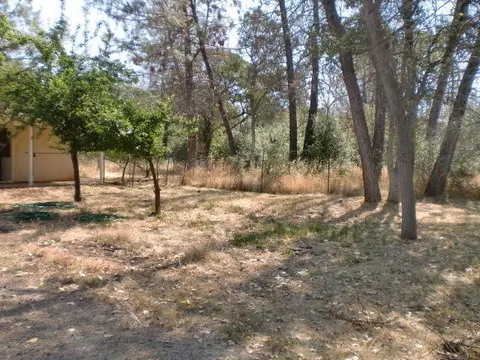 5455 Wilson Hill Rd, Manton, CA 96059 photo 4