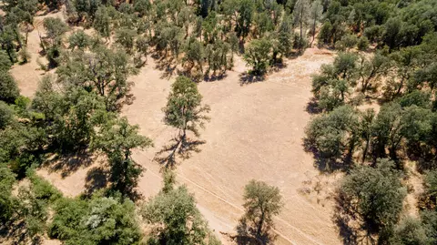 12250 Alpha Ln, Redding, CA 96003 photo 38
