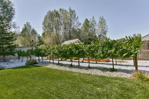 7502 Pit Rd, Redding, CA 96001 photo 22