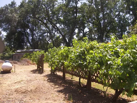 19670 Valley Ln, Redding, CA 96002 photo 10