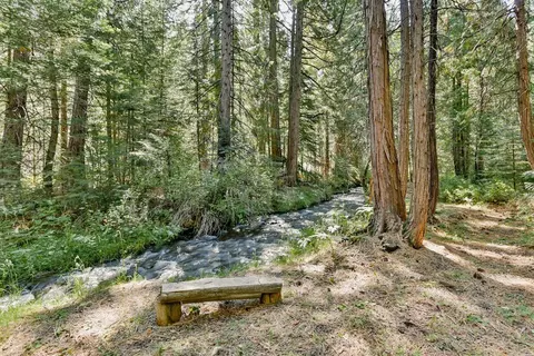 36688 Viola Meadows Ct, Shingletown, CA 96088 photo 2