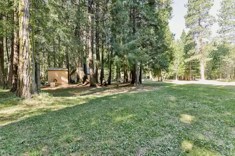 36688 Viola Meadows Ct, Shingletown, CA 96088 photo 35