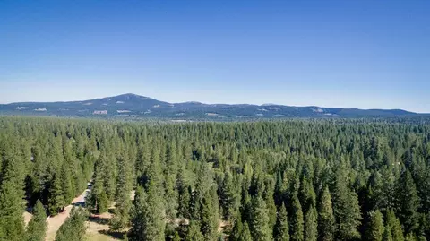 36688 Viola Meadows Ct, Shingletown, CA 96088 photo 39