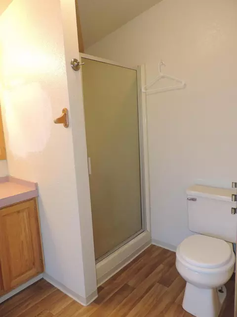 24956 Windchime Dr, Fall River Mills, CA 96028 photo 23