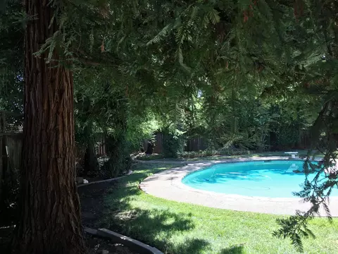 2440 Pinion Ct, Redding, CA 96002 photo 61
