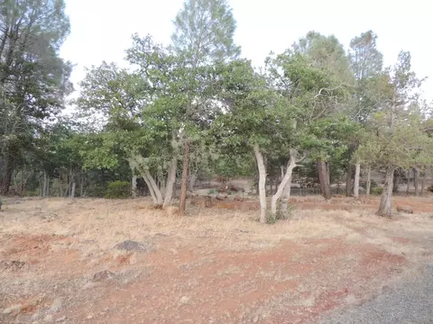 43039 Shoshoni Loop, Fall River Mills, CA 96028 photo 43
