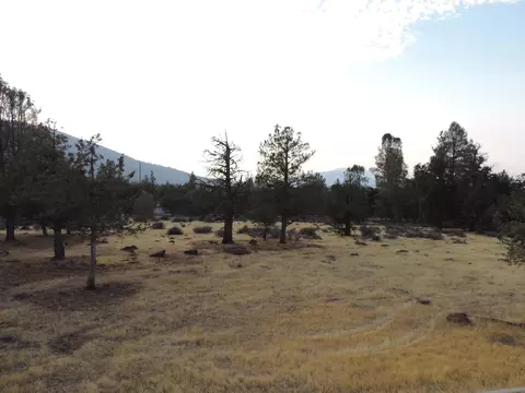 43039 Shoshoni Loop, Fall River Mills, CA 96028 photo 51