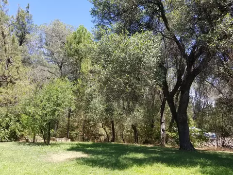 1886 Whaley Rd, Redding, CA 96003 photo 15