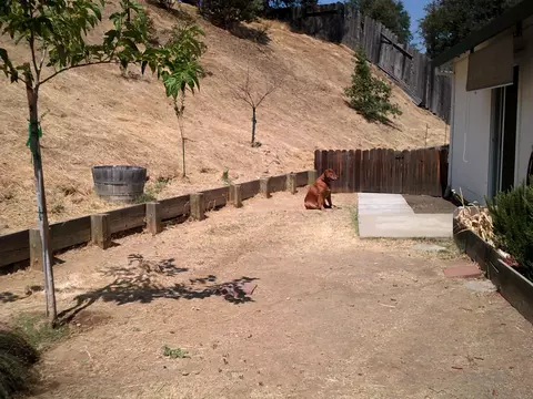 710 Setter Ct, Redding, CA 96003 photo 28