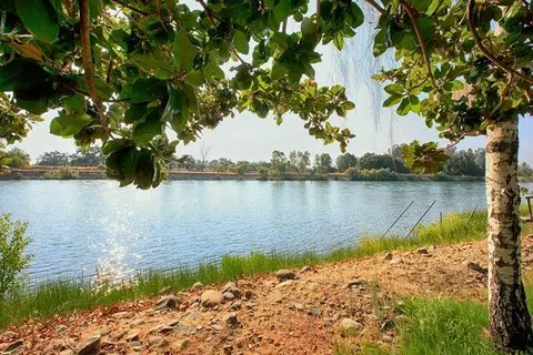 7023 Riverside Dr, Redding, CA 96001 photo 14