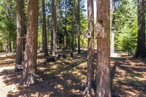36290 Deer Flat Rd, Shingletown, CA 96088 photo 35