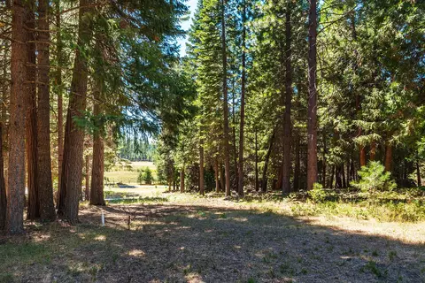 36290 Deer Flat Rd, Shingletown, CA 96088 photo 38
