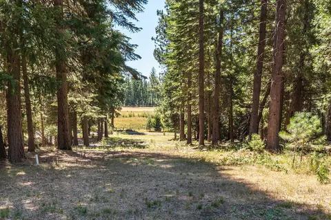 36290 Deer Flat Rd, Shingletown, CA 96088 photo 36