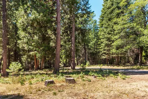 36290 Deer Flat Rd, Shingletown, CA 96088 photo 37