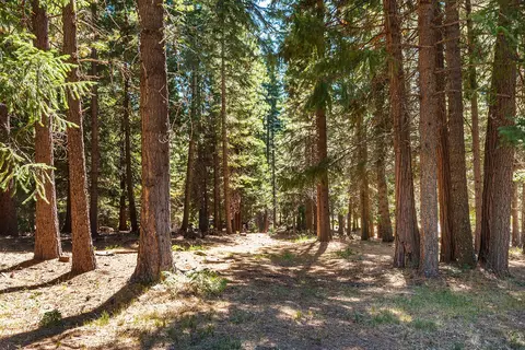 36290 Deer Flat Rd, Shingletown, CA 96088 photo 39