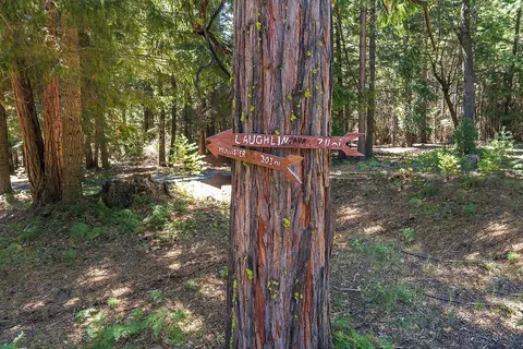 36290 Deer Flat Rd, Shingletown, CA 96088 photo 32