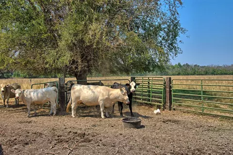21861 Tranquil Ln, Anderson, CA 96007 photo 23