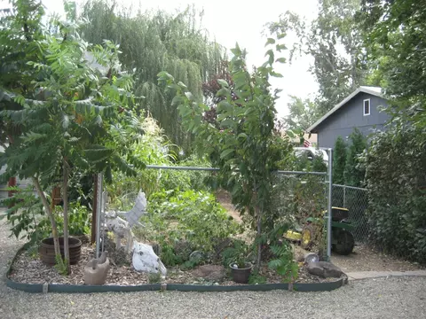 25722 Haney View Dr, Fall River Mills, CA 96028 photo 11