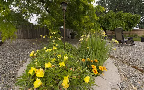 3342 Auburn Dr, Redding, CA 96001 photo 27
