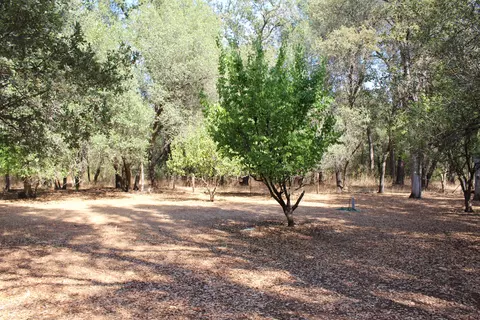 11129 Old Oregon, Redding, CA 96003 photo 32