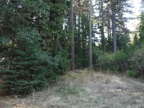 7175 Mill Creek Rd, Shingletown, CA 96088 photo 18