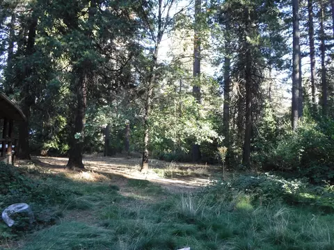 7175 Mill Creek Rd, Shingletown, CA 96088 photo 19