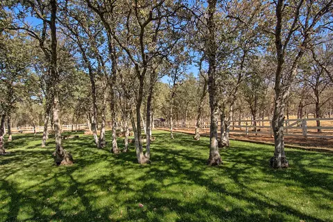 14525 Chico Ct, Red Bluff, CA 96080 photo 40