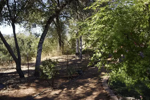 6796 Tucker Ln, Redding, CA 96002 photo 27